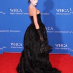 Julia Fox Instagram – A night to remember! I was so moved by the experience. I laughed, I cried, I got a lot of strange looks… lol but mostly I feel honored to have gotten the chance to meet the countless journalists who bravely shed light on the uncomfortable truths of our nation. It’s a thankless job and I’m sure you don’t hear it enough but thank you for your service 🙏 I see you ♥️ merci beaucoup @franceintheus for having me 💋 glam by moi styled by @brianaandalore