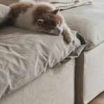 Julia Michaels Instagram - How’s your anxiety lately