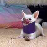 Julia Michaels Instagram - What’s your biggest insecurity