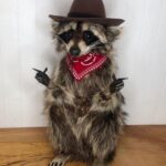 Julia Michaels Instagram - What’s your biggest insecurity
