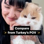 Julia Michaels Instagram - Compare is Turkey approved