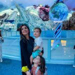 Julia Paredes Instagram - Welcome to @seaworldyasisland , just amazing ! @yasisland #yasisland#seaworld#christmas#amazing#invitation