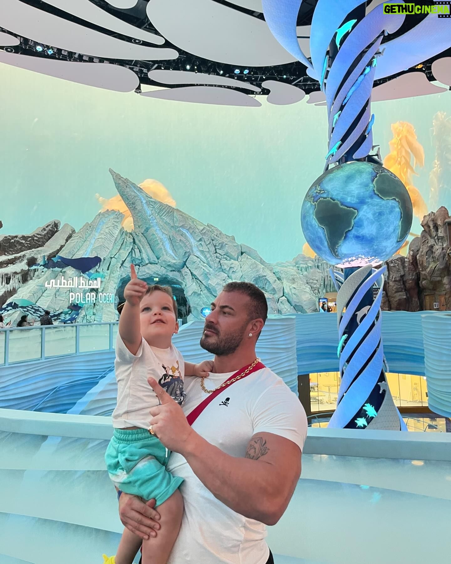 Julia Paredes Instagram - Welcome to @seaworldyasisland , just amazing ! @yasisland #yasisland#seaworld#christmas#amazing#invitation