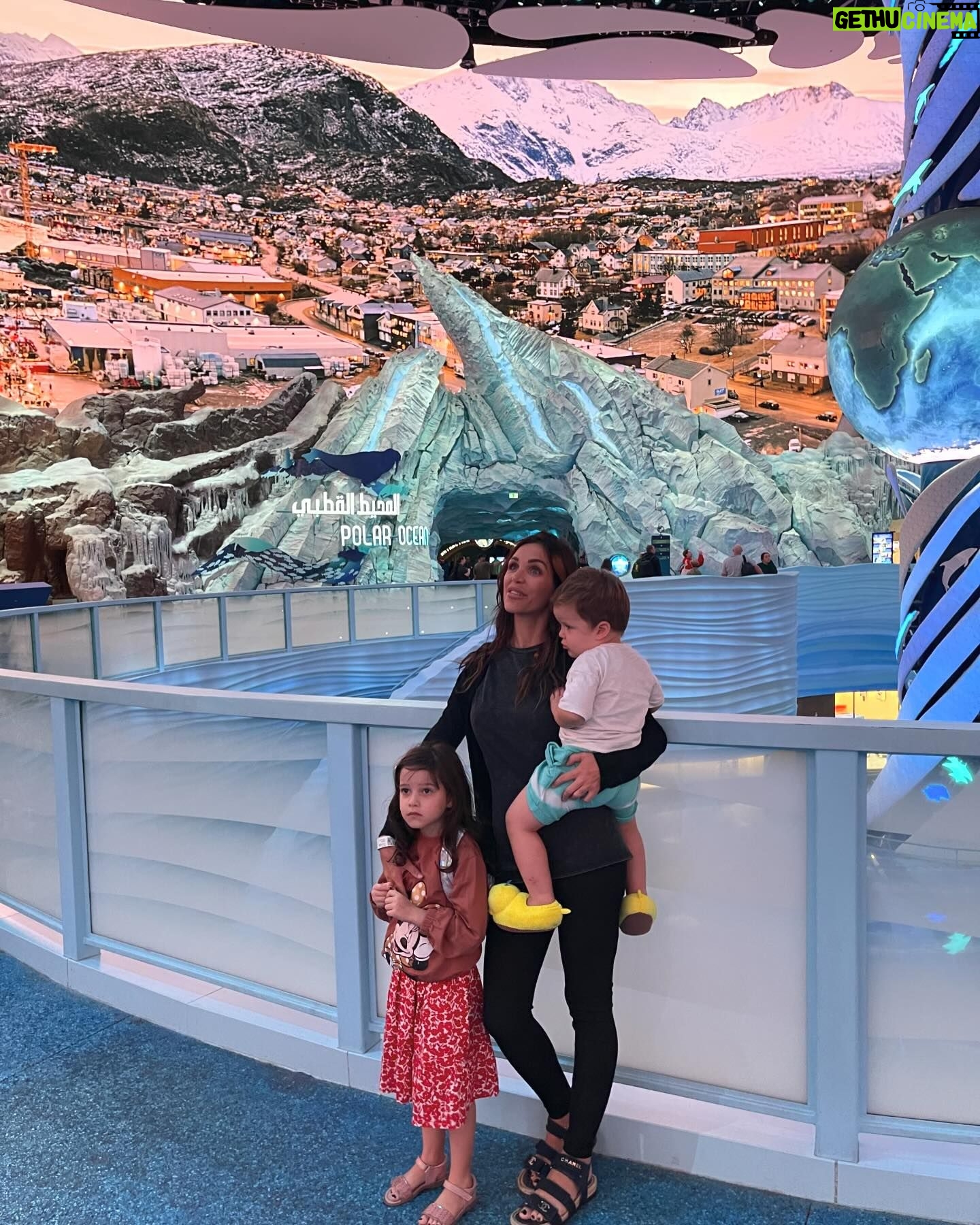 Julia Paredes Instagram - Welcome to @seaworldyasisland , just amazing ! @yasisland #yasisland#seaworld#christmas#amazing#invitation