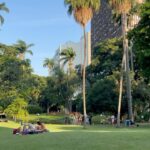 Julia Simoura Instagram - uma acadêmica de direito e amante de história se aventurando pelo palácio do catete e pela história da república brasileira