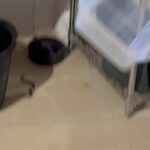 Julianne Moore Instagram – A snake in the basement.  #friday