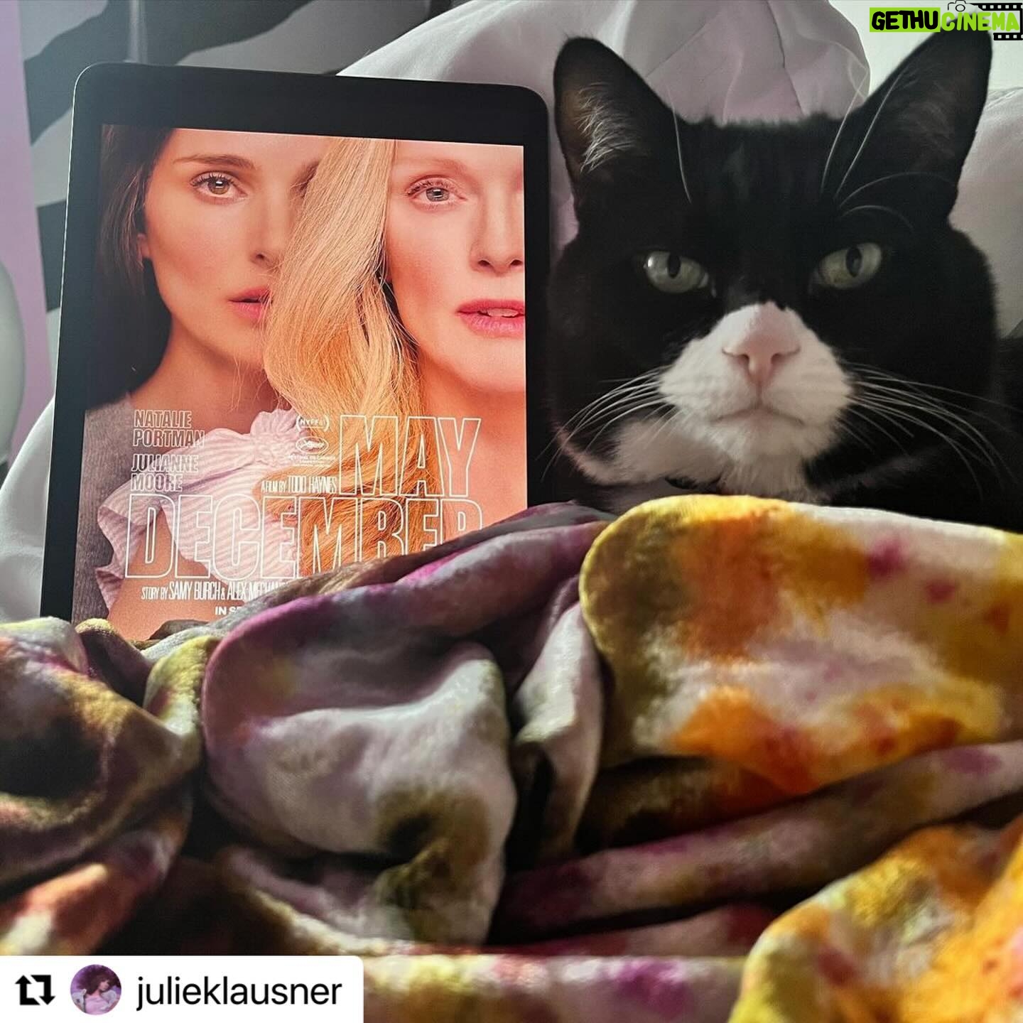 Julianne Moore Instagram - #Repost @julieklausner with @use.repost ・・・ Hello I am Jimmy Jazz posting on my dumb mother’s Instagram account. My mommy’s friend Julie, AKA @juliannemoore, AKA the redhead I know in my heart would feed me more frequently if I lived with her instead of my mother, is in a movie called May December, now streaming on Netflix. Mom (who is dumb but nice and doesn’t feed me enough even tho I love her) said it was brilliant & even called it a masterpiece. She should know, because I myself am a masterpiece. Okay, I’m going back to sleep. Moore/Haynes forever. JIMMY JAZZ OUT! 😻 @maydecemberfilm 😻