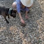 Julianne Moore Instagram – We found a turtle in our driveway 💚💚💚🐢