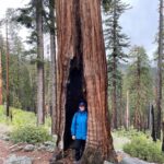 Julie Bowen Instagram – So ecstatic to spend the weekend celebrating my sisters’ birthdays in Yosemite. Nature and pee-your-pants laughing. Perfect.