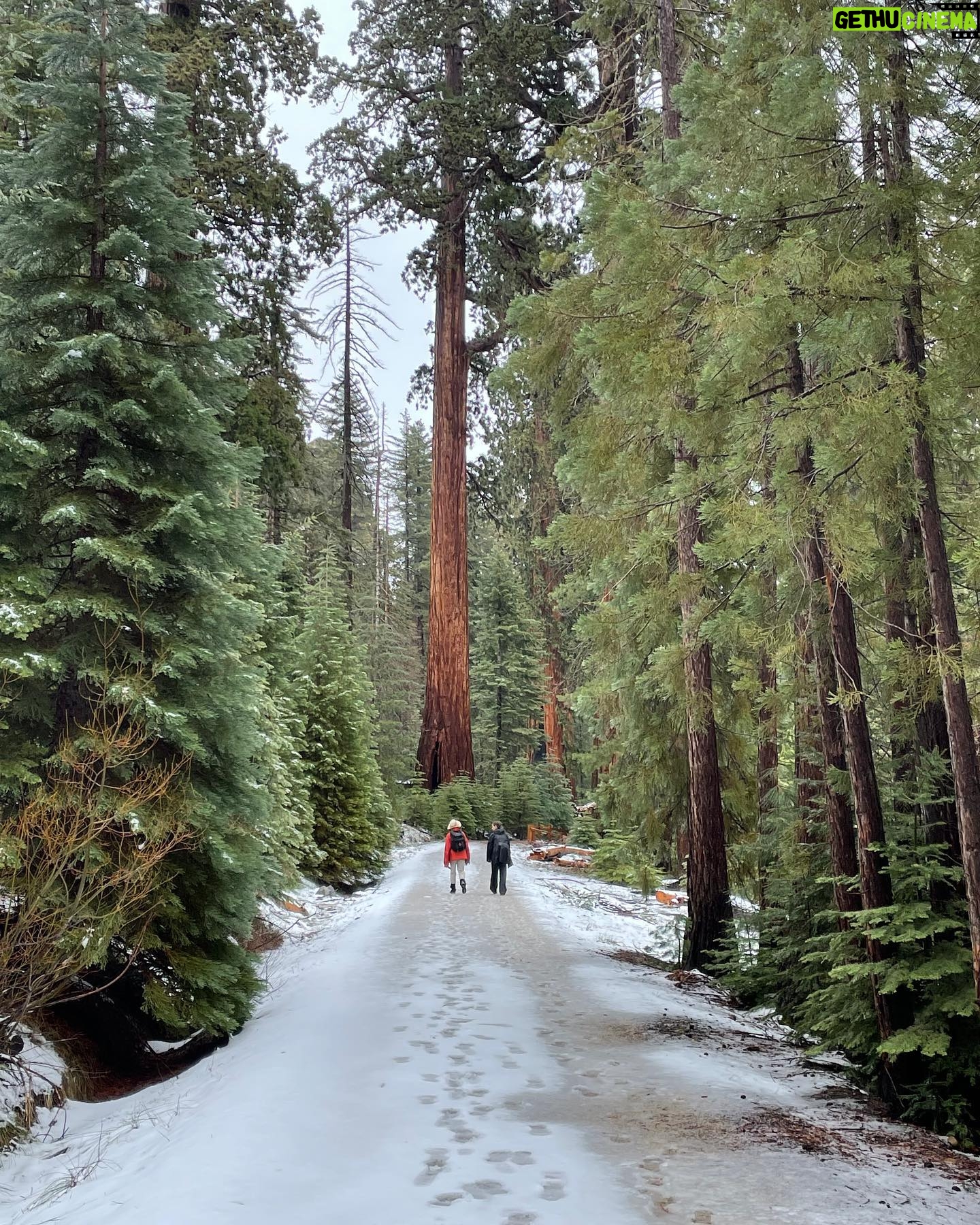 Julie Bowen Instagram - So ecstatic to spend the weekend celebrating my sisters’ birthdays in Yosemite. Nature and pee-your-pants laughing. Perfect.