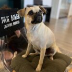 Julie Bowen Instagram – Once again, Gertie makes it all about her… and I don’t mind at all.