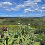 Julie Estelle Instagram – When in Tuscany