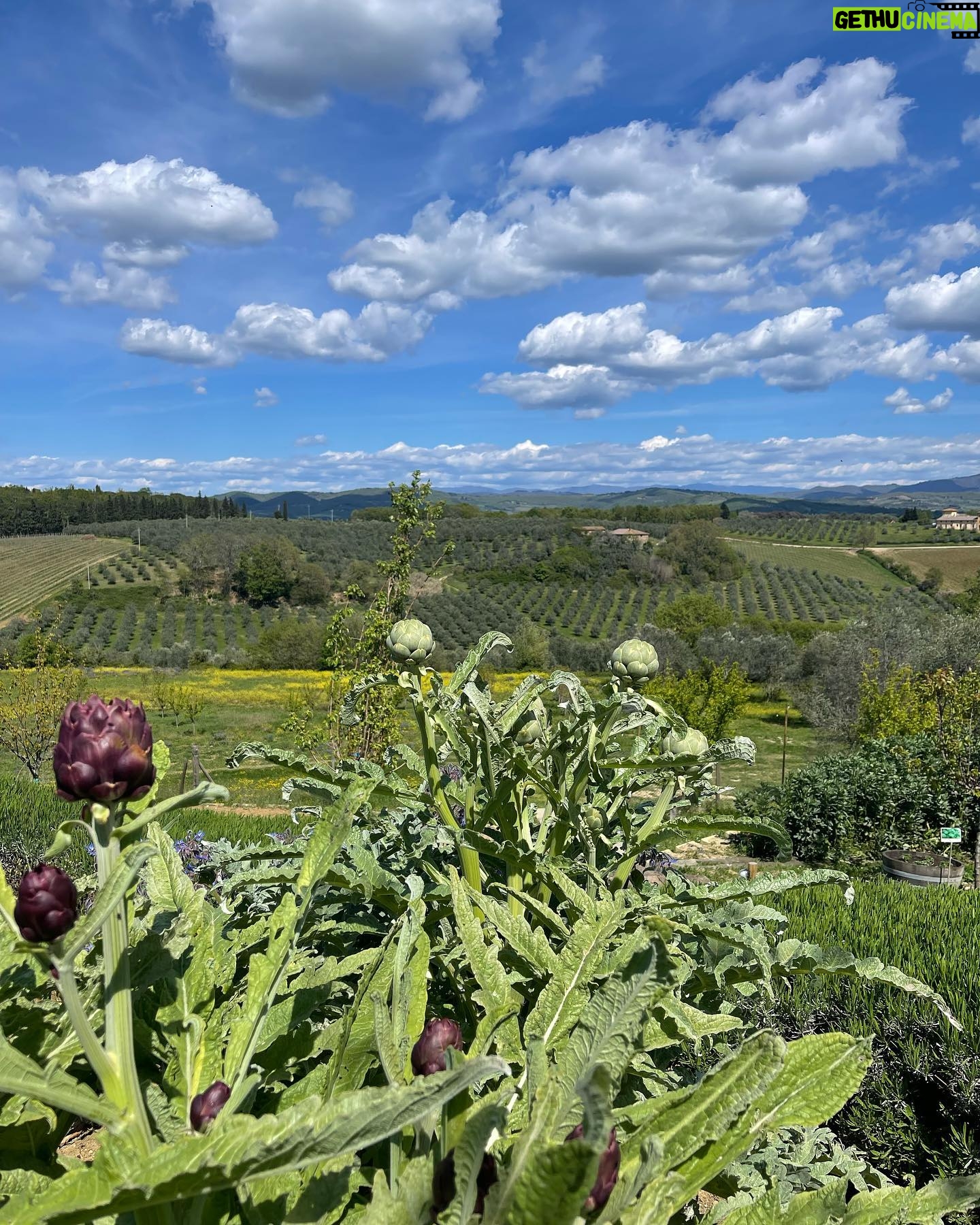 Julie Estelle - 18.6K Likes - When in Tuscany