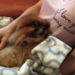 Julie Estelle Instagram – RIP Bubbly, 13 years of memories we shared together will forever be in my heart. Thank you for bringing so much happiness and joy into our family..See you on the other side my Buyuu🤍🤍🤍
#dogheaven🐾