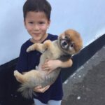 Julie Estelle Instagram – RIP Bubbly, 13 years of memories we shared together will forever be in my heart. Thank you for bringing so much happiness and joy into our family..See you on the other side my Buyuu🤍🤍🤍
#dogheaven🐾