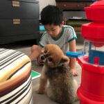 Julie Estelle Instagram – RIP Bubbly, 13 years of memories we shared together will forever be in my heart. Thank you for bringing so much happiness and joy into our family..See you on the other side my Buyuu🤍🤍🤍
#dogheaven🐾