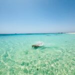 Julie Ricci Instagram - 🌊 🐠 🌍🏝️ et toi… Quel seron to prochain voyage si compte en faire un ✈️ Ou quel serait la destination de tes rêves ?