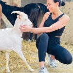 Julie Ricci Instagram – Une journée incroyable dans le désert , pourvoir galoper  au milieu de rien et se balader en bord de mer , c’était super.
Notre séjour en Égypte commence très bien.

Activités @hurghada_tourist_guide_ 

#egypt #horse #desert