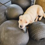 Juliette Instagram - Pronto! Agora eu já sou uma moleca desenrolada do Crossfit.