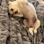 Juliette Lewis Instagram - For whoever needs this MIRACLE 😍🥹☺️