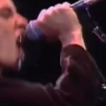 Juliette Lewis Instagram - The Lion an angel power Wow 💠RP @houseofgangstersaysrelax ・・・ The remastered live version of Shuhada’ Sadaqat’s, then known as Sinéad O’Connor, Nothing Compares 2 U is added to our Sunday Vibes playlist, link in stories and Spotlight. Here she performed at the Un Abrazo A La Esperanza concert at Estadio Nacional de Chile, in Santiago, Chile, 1990. Sinéad co-produced her worldwide #1 1990 hit Nothing Compares 2 U with Nellee Hooper in 1989 for her second album I Do Not Want What I Haven’t Got. The Prince penned song, originally recorded by his project The Family in 1985, containes the lyrics: All the flowers that you planted mama / In the backyard / All died when you went away These lines made her cry as they reminded her of her own mother, Marie, who was abusive, and died when Sinéad was 16. Do you have a special memory to this song? #sineadoconnor #prince #nelleehooper #nothingcompares2u #chile