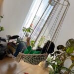 Jumana Karim Instagram - #غيد#قضيه🤍🤍🤍#جمانه_كريم