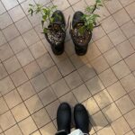 Jung Da-bin Instagram - 추신.🦋🪴🌂