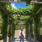 Juri Ueno Instagram - ウェリントンより南のワイナリー Martinborough（マーティンボロー） ナチュラルワイン、ピノに力を入れています。🍷 ワインをたくさん買ってしまった。。 １軒目（写真だと3.4枚目） 「Luna」（ルナ） @lunaestatewinery lunaestate.co.nz テイスティングをすればするほど、 深みにハマっていく。 最後に飲んだ赤ワインが、土を変えただけで 同じ作り方でも全然違う味わいになって とっても美味しかった。 一番最後にはデザートワイン的な白を飲みました。 甘すぎず、自然で美味しかった。 ボトルのラベルもNZのアーティスト🧑‍🎨が描いた鳥のモチーフだったりして毎年ジャケットが変わる。 店内にもキャンバスが飾られていてオシャレ✨ バス🚌で観光の団体さんが お食事とワインを外で楽しんでいて、最高の風景だった。 2軒目（写真だと5.6枚目） 「SCHUBERT」（シューベルト） @schubertwines schubert.co.nz のだめといえば、シューベルト。 何でお店の名前がシューベルト？ と思いながら店内へ。 すると店員さんが、 ちょっとトムクルーズに似ていた。 ワインはどれも美味しい✨ ナチュラルワインだしね😋 個人で車で来られたお客様たちが2組と 私たちの試飲で、 お兄さんは忙しい。 なのに、とても落ち着いていて、 丁寧にワインへのこだわりを説明してくれました😊🍷 等身大の飾らない本音の感想もとても良い。 お兄さんのセレクトも順番も間違いなかった。 ピノ・ノワールも、ピノ・グリも、 美味しいんだって、ここに来て知った。 表には小さなリンゴがたくさん木に成って落ちていて、 とても自然と近い雰囲気で楽しかったです🍎🌳 lunaとshcubertは、 カジュアルワインで薄ウマな 最近流行りの味も見つかりますよ✨ 3軒目（写真だと１、2枚目） 「ATA RANGI」（アタランギ） @ata_rangi atarangi.co.nz こちらは予約制。 でも、試飲は無料🆓。 ワインは全て徹底的に管理されていて、 少しの気候変動で味も変わってくるので、 ワイン作りは手が抜けない。 この一年の流れを、 沢山話してくれました。 なので皆さんも質問したりと、 ここでしか聞けないお話を聞いてました。 着席スタイルで しっかり向き合う試飲タイム。 お客さんと生産者さんが、 直接会って、 目の前で飲んでる。 シンプルだけど強い。 それがいい。 全て受け止め合う。 いい意味で緊張感もある。 こちらのワインは正統派な印象で レストランの料理に合わせたら とても良いだろうなぁ。と、 ちょっとフォーマルなイメージを浮かべました😌 帰り道の遅めのランチ 「COOL CANGE」（クール チェンジ） @coolchange.bar_eatery 帰りに何となく直感で入ったお店。 すると店内がとっても可愛い内装で。。 料理も美味しい🌮🤤 特に、カラマリ（スティック状のイカのフライ） が柔らかくて美味しかった。 またまた夫を被写体に写真を。 インテリアが唱さん好みの ミッドセンチュリーだったりして、 メニューが届くまで店内を見て回った。 こちらのお店でも、 1番のおすすめは この地方のオリジナルワイン🍷 頼んだら、すごくまろやかで、 ウッディで深みがあるのにタンニンは軽く、 バニラのような香り。満足の締めの一杯でした👏 好きなものを とことん追求して 表現する それを体感できた。 マーティンボロー、ありがとう！