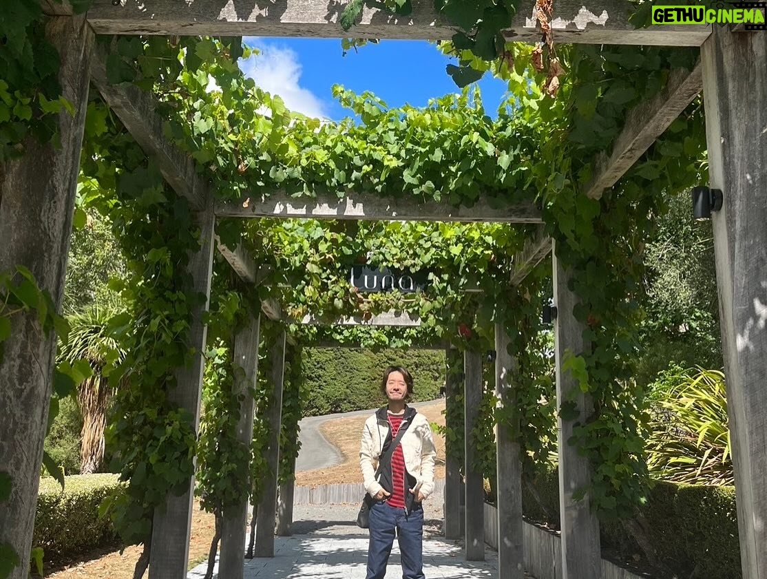 Juri Ueno Instagram - ウェリントンより南のワイナリー Martinborough(マーティンボロー) ナチュラルワイン、ピノに力を入れています。🍷 ワインをたくさん買ってしまった。。 1軒目(写真だと3.4枚目) 「Luna」(ルナ) @lunaestatewinery lunaestate.co.nz テイスティングをすればするほど、 深みにハマっていく。 最後に飲んだ赤ワインが、土を変えただけで 同じ作り方でも全然違う味わいになって とっても美味しかった。 一番最後にはデザートワイン的な白を飲みました。 甘すぎず、自然で美味しかった。 ボトルのラベルもNZのアーティスト🧑🎨が描いた鳥のモチーフだったりして毎年ジャケットが変わる。 店内にもキャンバスが飾られていてオシャレ✨ バス🚌で観光の団体さんが お食事とワインを外で楽しんでいて、最高の風景だった。 2軒目(写真だと5.6枚目) 「SCHUBERT」(シューベルト) @schubertwines schubert.co.nz のだめといえば、シューベルト。 何でお店の名前がシューベルト? と思いながら店内へ。 すると店員さんが、 ちょっとトムクルーズに似ていた。 ワインはどれも美味しい✨ ナチュラルワインだしね😋 個人で車で来られたお客様たちが2組と 私たちの試飲で、 お兄さんは忙しい。 なのに、とても落ち着いていて、 丁寧にワインへのこだわりを説明してくれました😊🍷 等身大の飾らない本音の感想もとても良い。 お兄さんのセレクトも順番も間違いなかった。 ピノ・ノワールも、ピノ・グリも、 美味しいんだって、ここに来て知った。 表には小さなリンゴがたくさん木に成って落ちていて、 とても自然と近い雰囲気で楽しかったです🍎🌳 lunaとshcubertは、 カジュアルワインで薄ウマな 最近流行りの味も見つかりますよ✨ 3軒目(写真だと1、2枚目) 「ATA RANGI」(アタランギ) @ata_rangi atarangi.co.nz こちらは予約制。 でも、試飲は無料🆓。 ワインは全て徹底的に管理されていて、 少しの気候変動で味も変わってくるので、 ワイン作りは手が抜けない。 この一年の流れを、 沢山話してくれました。 なので皆さんも質問したりと、 ここでしか聞けないお話を聞いてました。 着席スタイルで しっかり向き合う試飲タイム。 お客さんと生産者さんが、 直接会って、 目の前で飲んでる。 シンプルだけど強い。 それがいい。 全て受け止め合う。 いい意味で緊張感もある。 こちらのワインは正統派な印象で レストランの料理に合わせたら とても良いだろうなぁ。と、 ちょっとフォーマルなイメージを浮かべました😌 帰り道の遅めのランチ 「COOL CANGE」(クール チェンジ) @coolchange.bar_eatery 帰りに何となく直感で入ったお店。 すると店内がとっても可愛い内装で。。 料理も美味しい🌮🤤 特に、カラマリ(スティック状のイカのフライ) が柔らかくて美味しかった。 またまた夫を被写体に写真を。 インテリアが唱さん好みの ミッドセンチュリーだったりして、 メニューが届くまで店内を見て回った。 こちらのお店でも、 1番のおすすめは この地方のオリジナルワイン🍷 頼んだら、すごくまろやかで、 ウッディで深みがあるのにタンニンは軽く、 バニラのような香り。満足の締めの一杯でした👏 好きなものを とことん追求して 表現する それを体感できた。 マーティンボロー、ありがとう!