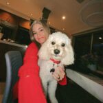 Justine Ezarik Instagram - He’s like… “mom y the flash???” 😂😂 @djminimatt 🐶