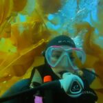 Justine Ezarik Instagram - Winter diving in Catalina is 😍 This was all shot on iPhone with the @diveoceanic housing @bigbluedivelights 🔦! 🐠🤿 @shilpa.rajpara @scubamarkatthepark @catalinadiverssupply @baresports