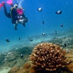 Justine Ezarik Instagram - Had so much fun diving in Maui! Can’t wait for the next adventure!