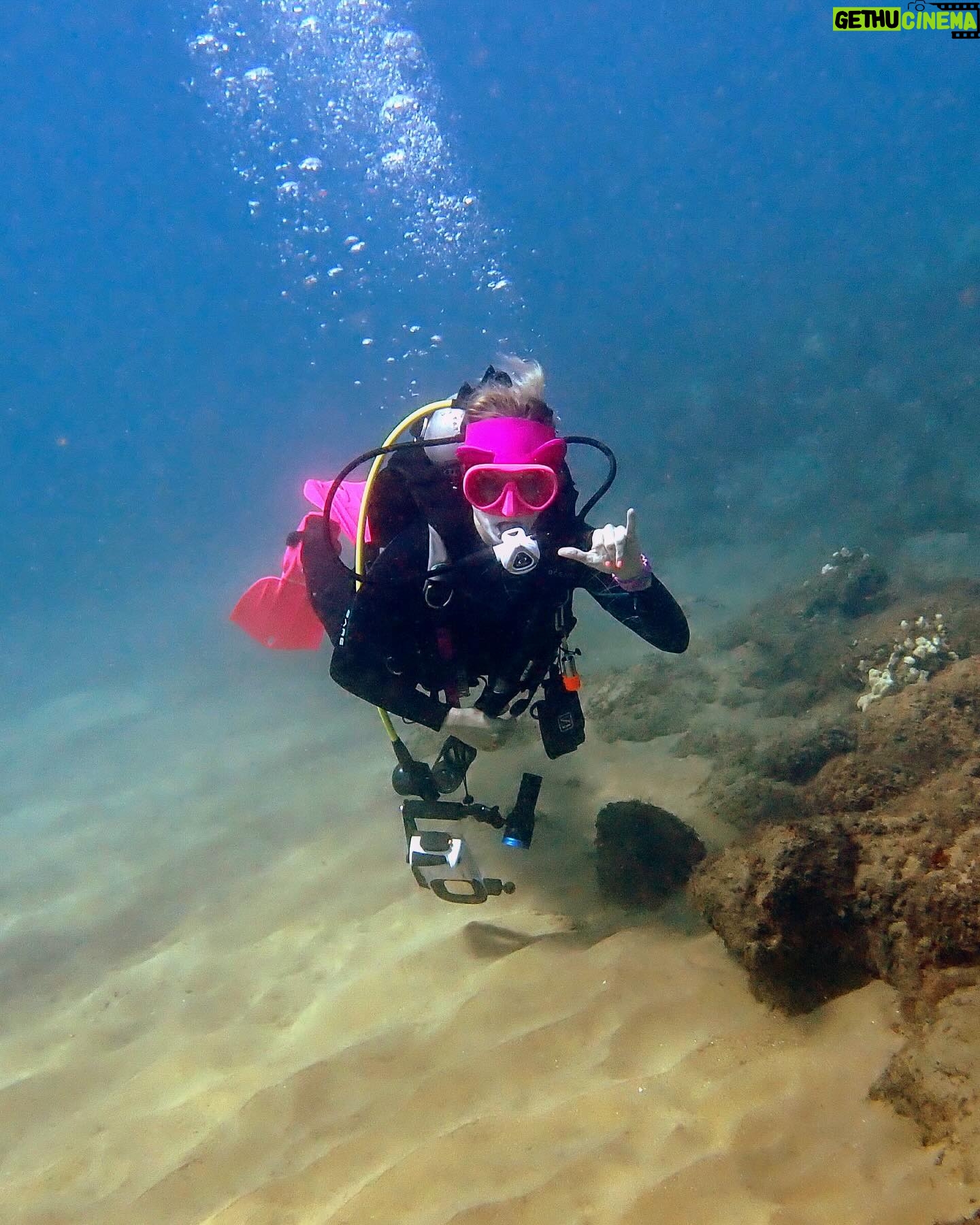 Justine Ezarik Instagram - Had so much fun diving in Maui! Can’t wait for the next adventure!