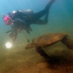 Justine Ezarik Instagram - Had so much fun diving in Maui! Can’t wait for the next adventure!