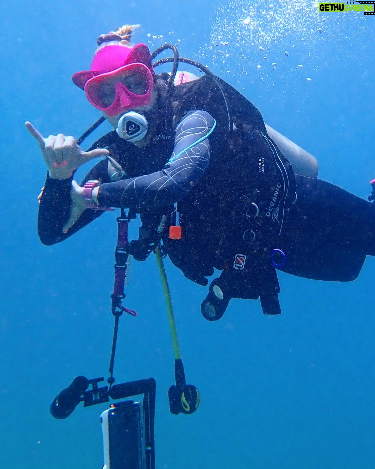 Justine Ezarik Instagram - Had so much fun diving in Maui! Can’t wait for the next adventure!