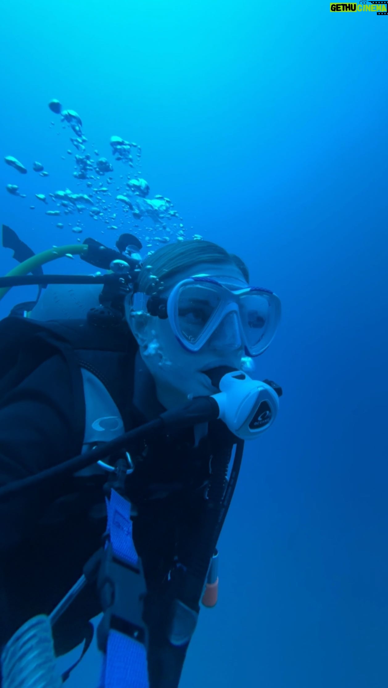 Justine Ezarik Instagram - Having the best time in Oahu! We are officially advanced open water certified! 🤿✅ Have really been loving the dive journey.. it’s wild to think a year ago I wouldn’t even put my head under water hahaha 😂