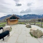K Brosas Instagram - Heidiland and Liechtenstein tour galore.. si heidi na cartoons noon nandito lang pala hihi.. lablablab! #galawgalawbagopumanaw #solotraveler #BucketList #switzerland🇨🇭 😅🥰
