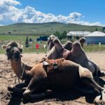 K Brosas Instagram – Day 2 Mongolia.. ang dami kong napuntahan di ko na memorize mga names sensya na hehe.. pero ang ganda at kakaiba ang mongolia (1st tour ko pa lang to ha) .. perfect weather today! shout out to my super nice na tour guide @zuulun_setgel .. nasa IGSTORIES ko lahat ng proof of purchase! lablablab! #galawgalawbagopumanaw #wanderlust #solotraveler #alonebutnotlonely 🥰✈️🙏