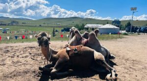 K Brosas Instagram - Day 2 Mongolia.. ang dami kong napuntahan di ko na memorize mga names sensya na hehe.. pero ang ganda at kakaiba ang mongolia (1st tour ko pa lang to ha) .. perfect weather today! shout out to my super nice na tour guide @zuulun_setgel .. nasa IGSTORIES ko lahat ng proof of purchase! lablablab! #galawgalawbagopumanaw #wanderlust #solotraveler #alonebutnotlonely 🥰✈️🙏