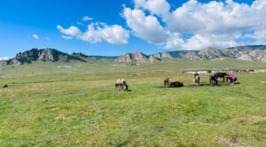K Brosas Instagram - Day 2 Mongolia.. ang dami kong napuntahan di ko na memorize mga names sensya na hehe.. pero ang ganda at kakaiba ang mongolia (1st tour ko pa lang to ha) .. perfect weather today! shout out to my super nice na tour guide @zuulun_setgel .. nasa IGSTORIES ko lahat ng proof of purchase! lablablab! #galawgalawbagopumanaw #wanderlust #solotraveler #alonebutnotlonely 🥰✈️🙏