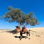 K Brosas Instagram – Day 4 Mongolia.. semi gobi desert tour keme.. 4 hrs papunta pero keri lang kc ang ganda ng scenery.. walang katapusan ng kabundukan at lupain, nagkalat lang mga horses, goats, cows, at daming lumilipad na eagles etc.. at perfect weather! napaka laki ng gobi desert kaya sa pinaka malapit lang kami pumunta para makapag meet and greet sa mga camels.. thanks sa aking nice na naman na tour guide @tsoki8 .. byutipul day! lablablab! #galawgalawbagopumanaw #wanderlust #solotraveler #alonebutnotlonely 😅🥰🙏