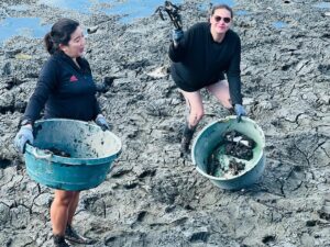 K Brosas Instagram - Done na sa taping.. haggard pero masaya… sumulong kami tubig at mud para kumuha ng talaba at crabs at nanghuli ng hipon.. at nag luto etc.. thanks miss @iamkaradavid 😊😅