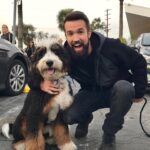 Kaitlin Olson Instagram - Happy 5th birthday to my dog Simon. I wrote and recorded a birthday song explaining how to pronounce his name, but @vancityreynolds ruined it by posting one for @robmcelhenney first.