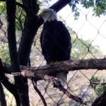 Kaitlin Olson Instagram -