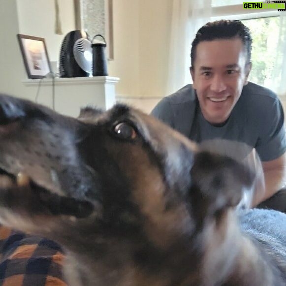 Kaley Cuoco Instagram - 💙 BLUE💙 I have cried harder over the loss of this gorgeous creature than I have in a long time. We have had to put down three dogs in the last year and this one has made me reflect … I’m crying for @tommypelphrey …. The relationship he had with Blue was so special. They were quite the duo. Traveling the country as a team… job to job then driving home to California where we all settled as a family together! Honestly my first year with Blue was rough to say the least. He didn’t love me the way he loved Tom. I had never experienced this before. All dogs love me! I could tell he was wondering why I was still here? lol Tom was his , and he didn’t want to share. Then I finally understood because I felt the same way about Tom. My love is so deep for him sometimes I didn’t want to share him with the world either . After some time Blue finally realized we were a family and we were all sticking together. Something changed . He was amazing . Protective of me and the rest of our pup crew, always on guard. I felt so safe home alone with him and when anyone came to the door I would put Blue on the leash and have him sit right next to me. No one dared mess with us! Matilda came and Blue turned to mush like the rest of us. He was so gentle with her and kind. She was obsessed with his one squeaky toy, always stealing it from him. He would patiently wait till she dropped it then scoop it back up for himself and quietly walk away. He was the quiet mascot of our home but Tom was and will always be his one and only. They saved each other . I think this hit deep because I felt their relationship was similar to me and Norman’s. I know that love and pain and many have felt this too! We are so lucky to be loved by animals. They are gifts from above and we have been given the honor to cherish them on this earth. To be their voices. To teach our children how to treat them and how to love them. Blue, it was an honor to be your second favorite human down here on earth. I can’t wait for you to meet Norman, Sasha ,Kingy, and Dumps. Oh the adventures you will have!💙💙💙💙💙