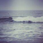 Kali Hawk Instagram - 🧐Dolphin, #KillerWhale or Sharks? This was the #debate as I walked along the #ocean deep in conversation with a friend. I’d told him earlier that if you want something, ask God. Then, all you have to do is recognize it when it comes. 💃🏽Some time later, we saw some fins in the water my friend said were killer whales, but they came and went so fast we couldn’t get a look long enough for me to really see. 😌”why don’t you ask godddd?” my friend said with a smirk. I thought, 🤷🏽‍♀️why not? So, I throw my hands up in the air, and shout into the sea: 🗣”BRING ME THE WHALES!!!! I WANT AN EXTENDED VIEWING, JESUS!! BRING ME THE WHALES FOR LONG ENOUGH TO GET A VIDEO!!” 🤣My friend thought I was nuts, but we had a good laugh. After about ten minutes of not seeing anything we decided to walk home. Suddenly, out of nowhere, 😍I start to see some fins! One, two, three, four, they were popping out all around! My friend pulled out his phone to record📲 and I was jumping up and down beside him everytime another one popped up. It was as if they came to do a little show just for us. I was so excited, but I didn’t want to distract my friend 😆so I just did a kind of silent scream the whole time. I knew they would come back, but they stayed for about 3 minutes straight this time. And, 😎I got my video.✨ After that, we had a small #debate about what we’d seen. I said they were #dolphins 🐬but my friend said they looked black, which means they’re likely #KillerWhales since they also work as a team like what we just saw. But, they could be #sharks too! 🦈 I was like lemme get this straight 😑if you’re grey you’re just a #dolphin but if you’re black then you’re a KILLER whale?! So, if it’s a shark what would it be: 🙃A Great White. 🙈Mannnn, no wonder these sea creatures are out here protesting. They’re sick of the nonsense too #Lol This concludes my #CaptainsLog for the day. 👩🏽‍✈️It seems some wishes take time, but they still get granted in the end. ✊🏽Keep shouting for the things you want. Sometimes what feels like waiting is just #God preparing all the elements to give you a good show. 🙌🏽🌊