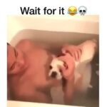 Kali Hawk Instagram - 😌Life is full of #happy surprises... #LiveInTheMoment #DontBeAfraid 🐶✨ #LoveComesInManyForms 💓 #ThatScreamTho #Lol