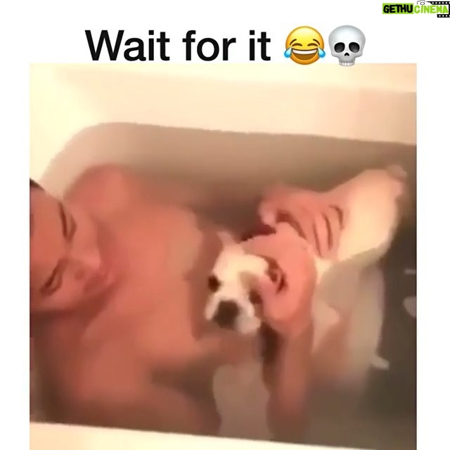 Kali Hawk Instagram - 😌Life is full of #happy surprises... #LiveInTheMoment #DontBeAfraid 🐶✨ #LoveComesInManyForms 💓 #ThatScreamTho #Lol