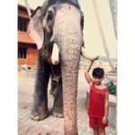 Kalidas Jayaram Instagram - My kannan 🐘