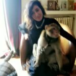 Kalila Bounaylat Instagram - سعدان بطل فيلم مسعود وسعيدة وسعدان 🐒🐒❤️ @lotfi_omar @azizdadasofficiel
